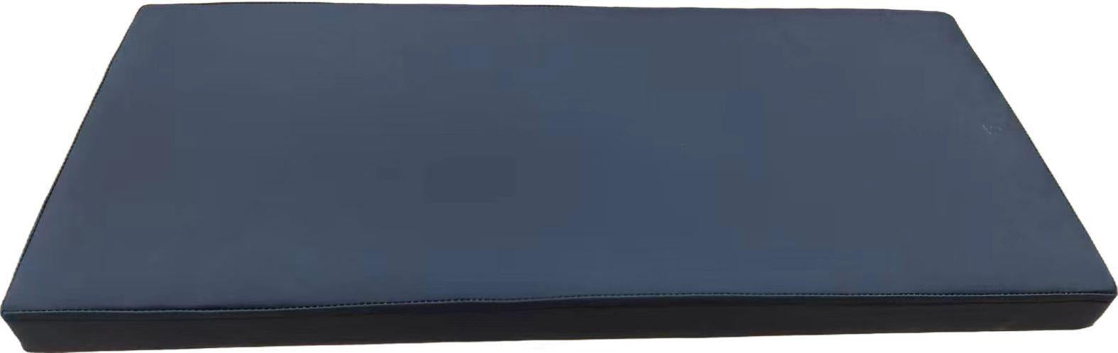 Electric vehicle seat cushion